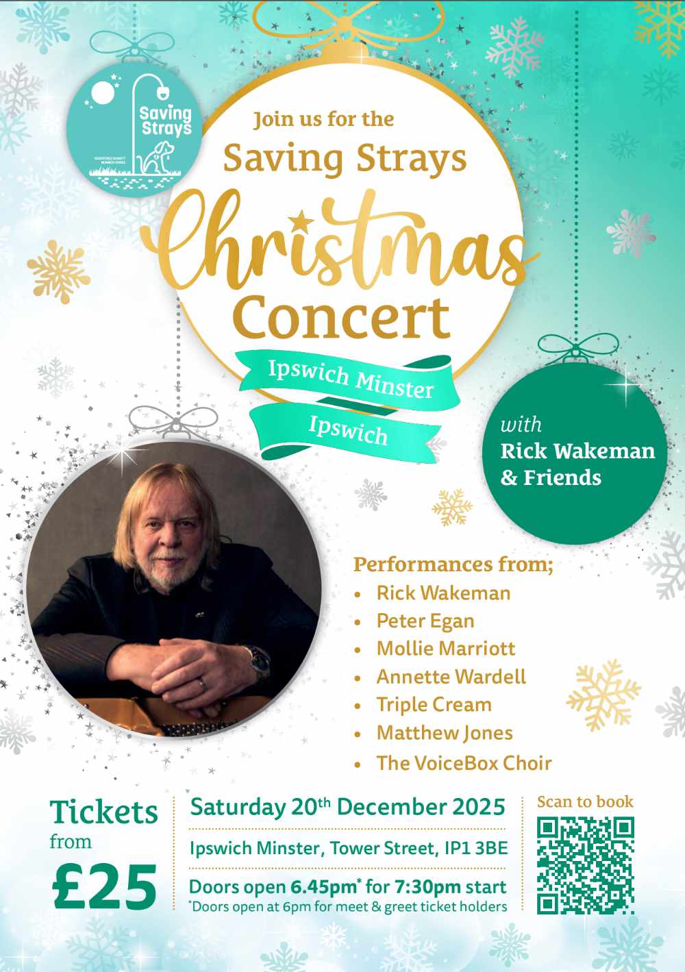 Saving Strays Christmas Concert